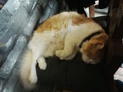-老屋咖啡