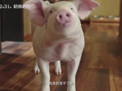 -和美电影艺术中心(万国城店)