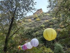 -黑龙潭风景区