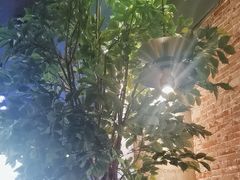 -同仁四季椰子鸡(无锡滨湖万象汇店)