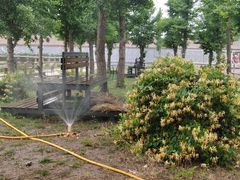 -北京群众马术培训基地