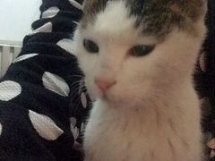 -芭比堂动物医院·犬猫全科·异宠专科(雁塔分院)