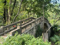 -青龙山国家森林公园