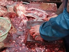 -梅记大块头爆鱼店(乍浦路店)