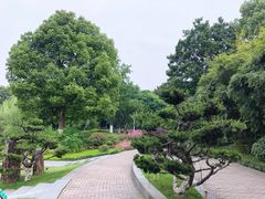 公园里的创意餐厅-日出青木·杭帮菜名店