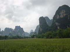 -明仕田园