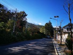 -蝴蝶泉公园