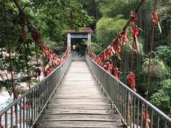 -黄山翡翠谷景区