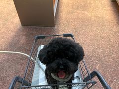 -MARSMART PETS火星宠物超市(1733店)