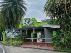 -圣淘沙天际线斜坡滑车
