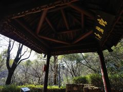 -杭州半山国家森林公园