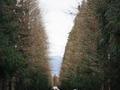 -山王坪喀斯特国家生态公园
