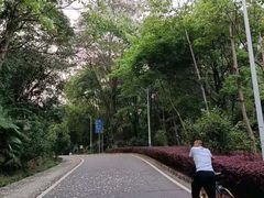 -火炉山森林公园