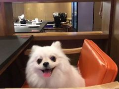 -煲宫(华润万象城店)
