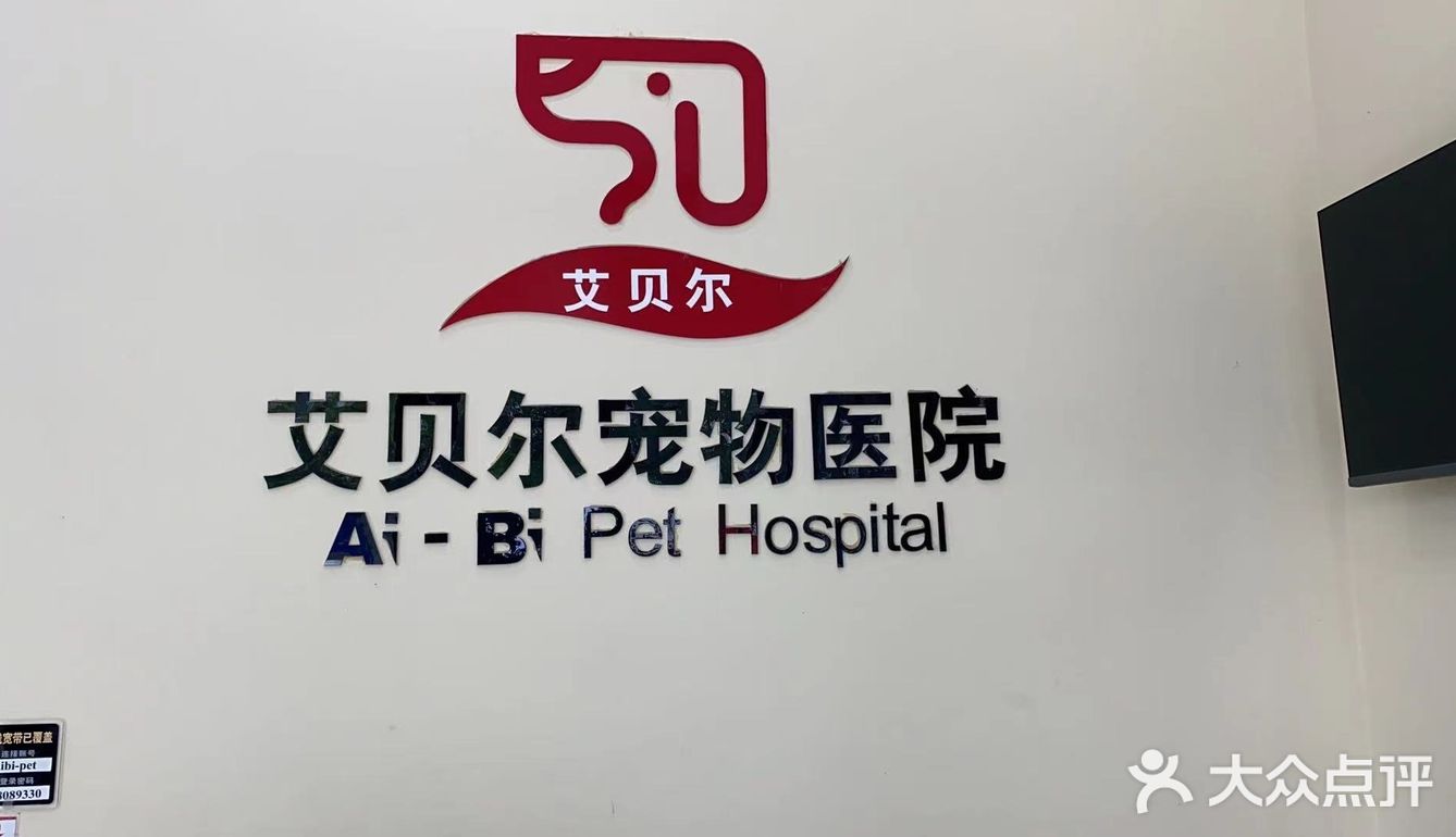 一元钱给猫咪剪指甲很不错哦