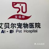 一元钱给猫咪剪指甲很不错哦