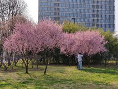 -东南大学(九龙湖校区)