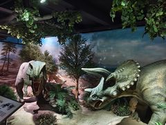 -国家自然博物馆