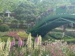 -上海鲜花港