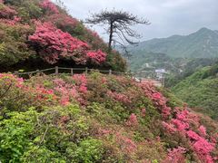 -木兰云雾山