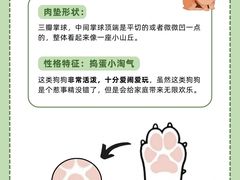 -爱侣宠医·鹦鹉专科·小型哺乳类·异宠专科(灵石路店)