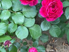 -元大都城垣遗址公园