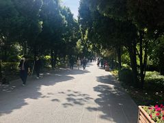 -迎泽公园