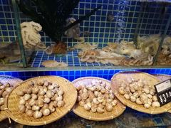 -必点海鲜·鲅鱼水饺(鞍山西道店)