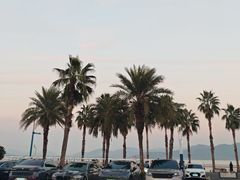 -东钱湖旅游度假区