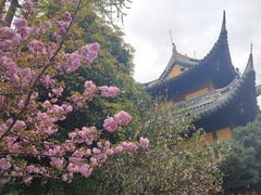 -龙华寺
