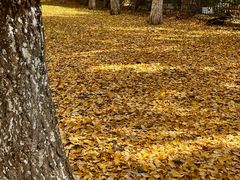 -东钱湖旅游度假区