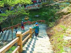 -本溪汤沟绿石谷森林公园
