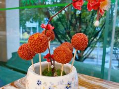 荔枝虾球-椿记烧鹅(叠彩店)