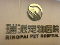 -瑞派康怡24h宠物医院·犬猫医疗中心·微创绝育(瑞景分院)