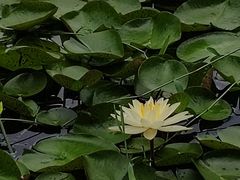 -苏州环秀晓筑养生度假村