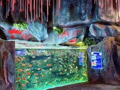 -威海华夏城景区