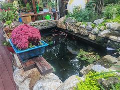 -丽泽山庄·生态怀柔菜·虹鳟鱼(红螺寺店)