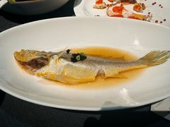 油盐水蒸中黄鱼-广舟(千禧店)