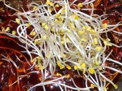 -杨肥肠火锅大排档(火车站花园店)