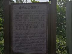 -金鸡山公园