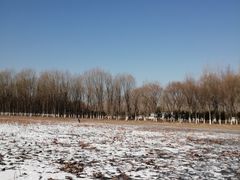-东郊湿地公园