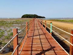 -天龙顶山地公园