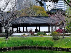 -和平公园