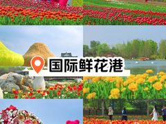 -北京国际鲜花港