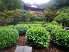 -十八棵（老龙井）御茶园(老龙井店)