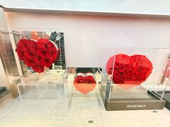 -ROSEONLY诺誓(广州K11店)