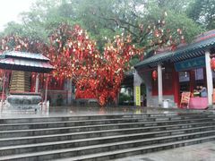 -国恩寺