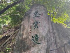 -梧桐山风景名胜区