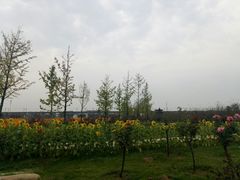 -枫林花海