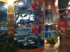 门面-蜀滋香鲜鱼美蛙火锅(339店)